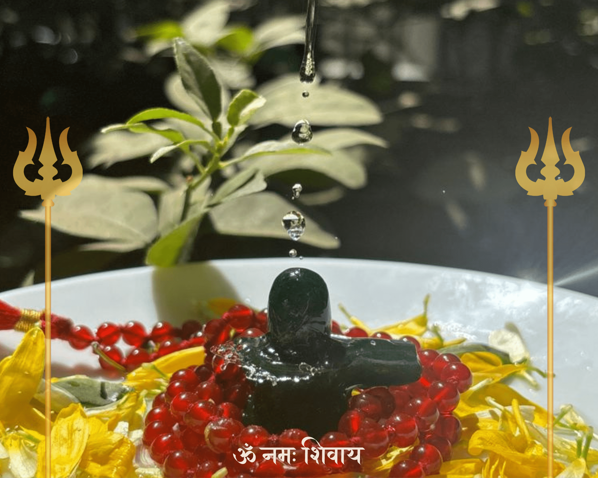 The Spiritual Essence of Mahashivratri: Finding Oneness with Shiv - Bodh Gem and Crystals